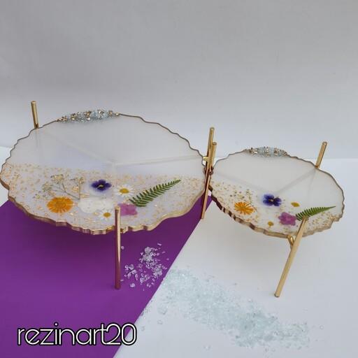 ست رزینی شیرینی، میوه خوری